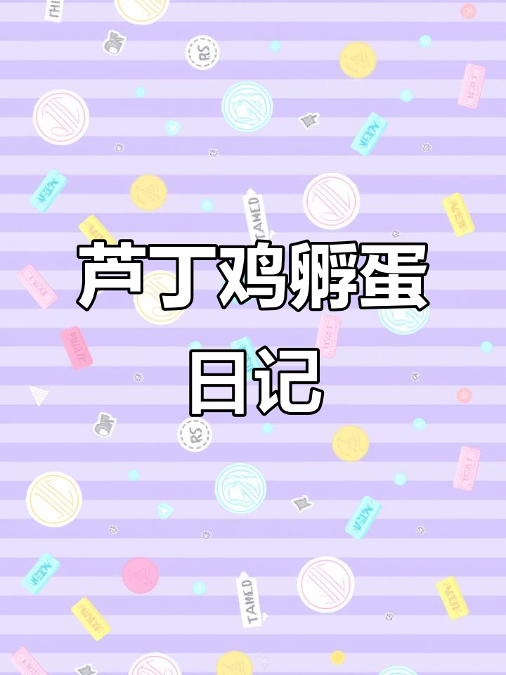 芦丁鸡蛋孵化全过程，五天照蛋见证生命奇迹
