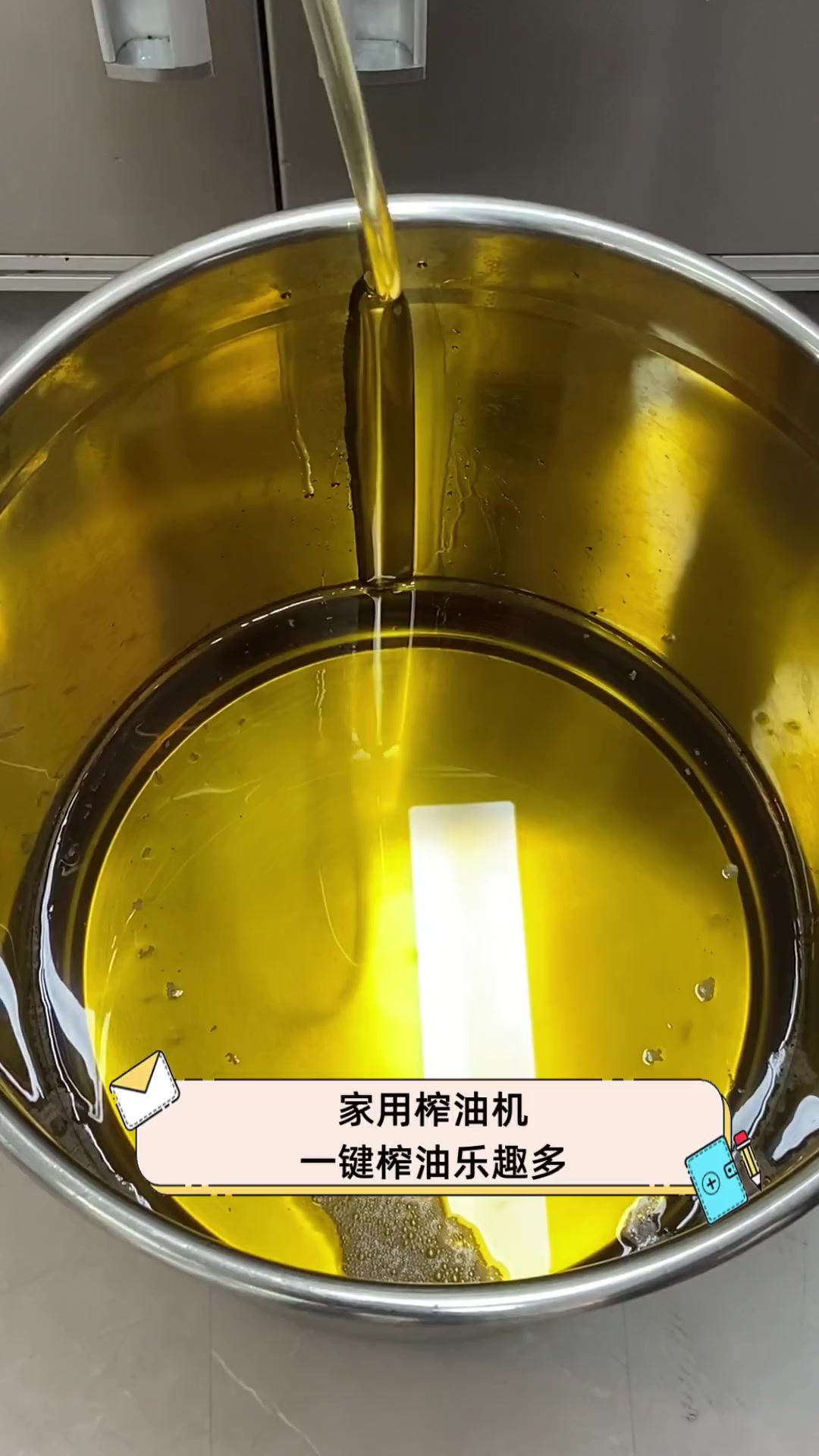 家用榨油机,一键榨油乐趣多