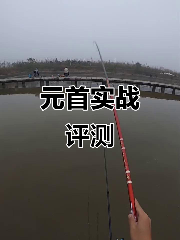 慈海元首实战表现，硬度足够但稍重，适合休闲垂钓