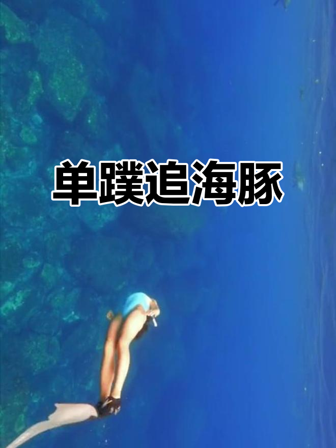 自由潜水追海豚,单蹼美人鱼挑战御藏岛