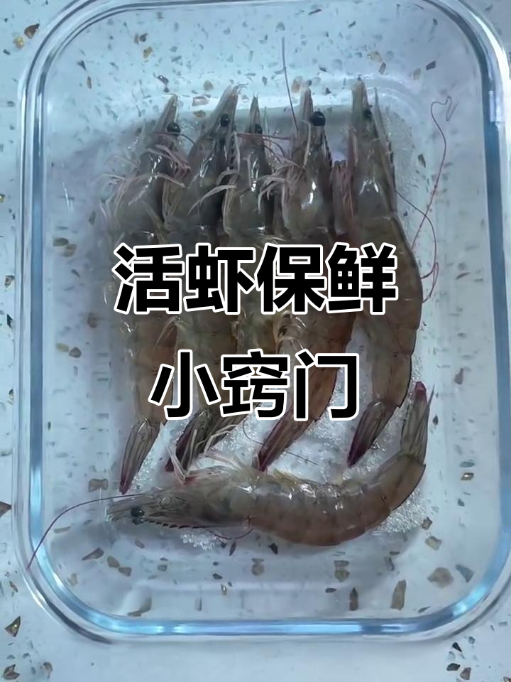 如何让活虾保持新鲜,保存技巧大公开