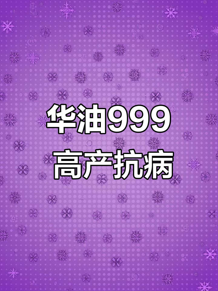 选对油菜种子,抗病高产有保障!华油999助力农业丰收