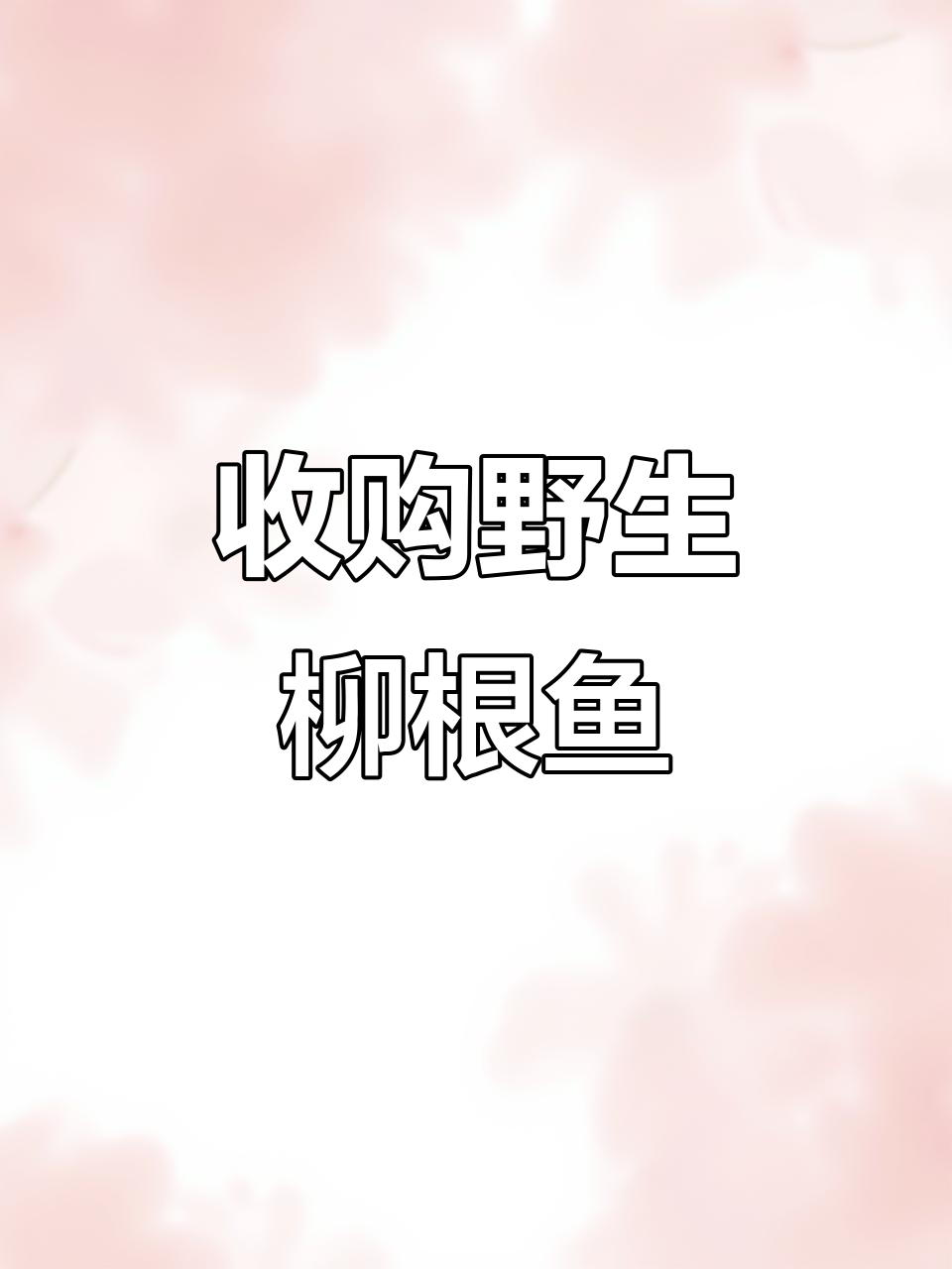 柳根鱼大丰收，野生货源急寻买家！