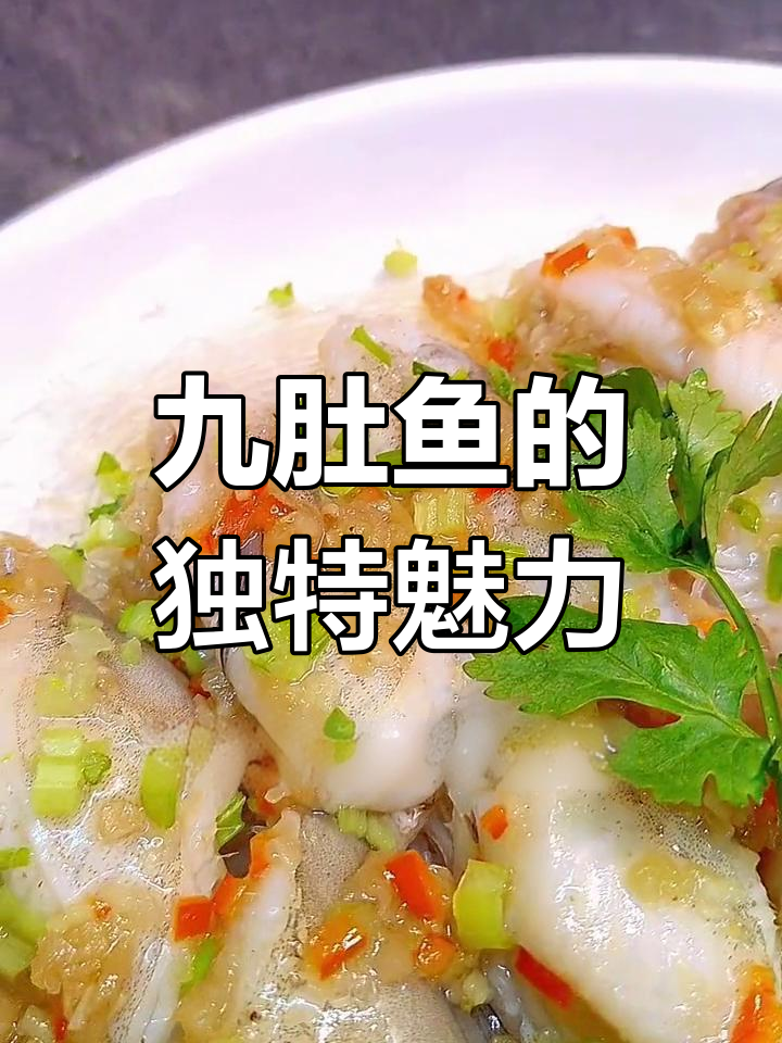 潮汕人最爱九肚鱼,蒸煮煎炸皆美味