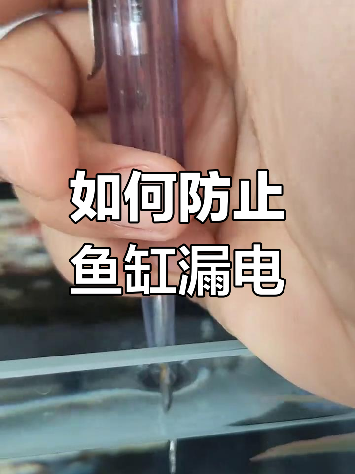 鱼缸漏电原因及预防方法,加热棒老化怎么办?