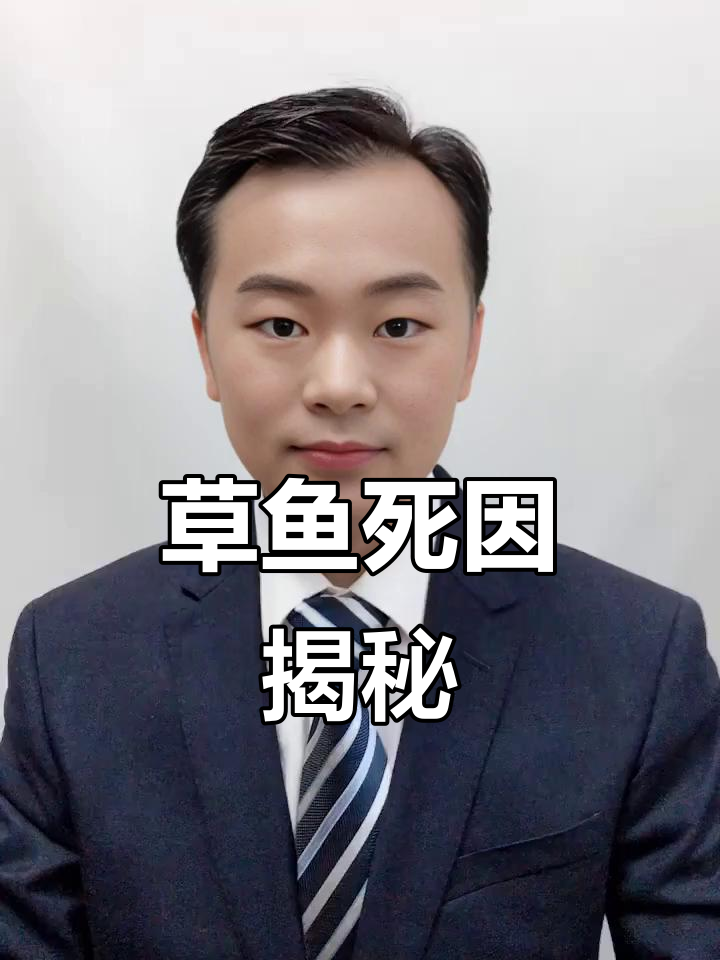 草鱼每天死亡十几条,原来是这种原因导致的肝胆综合症