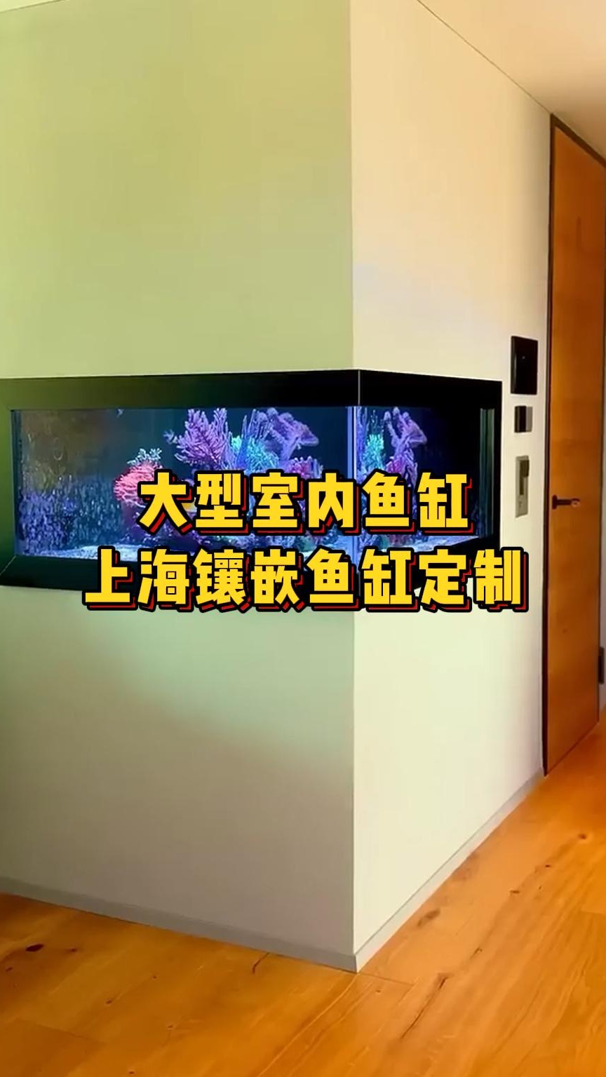 豪华室内鱼缸,呈现流光溢彩的水下世界