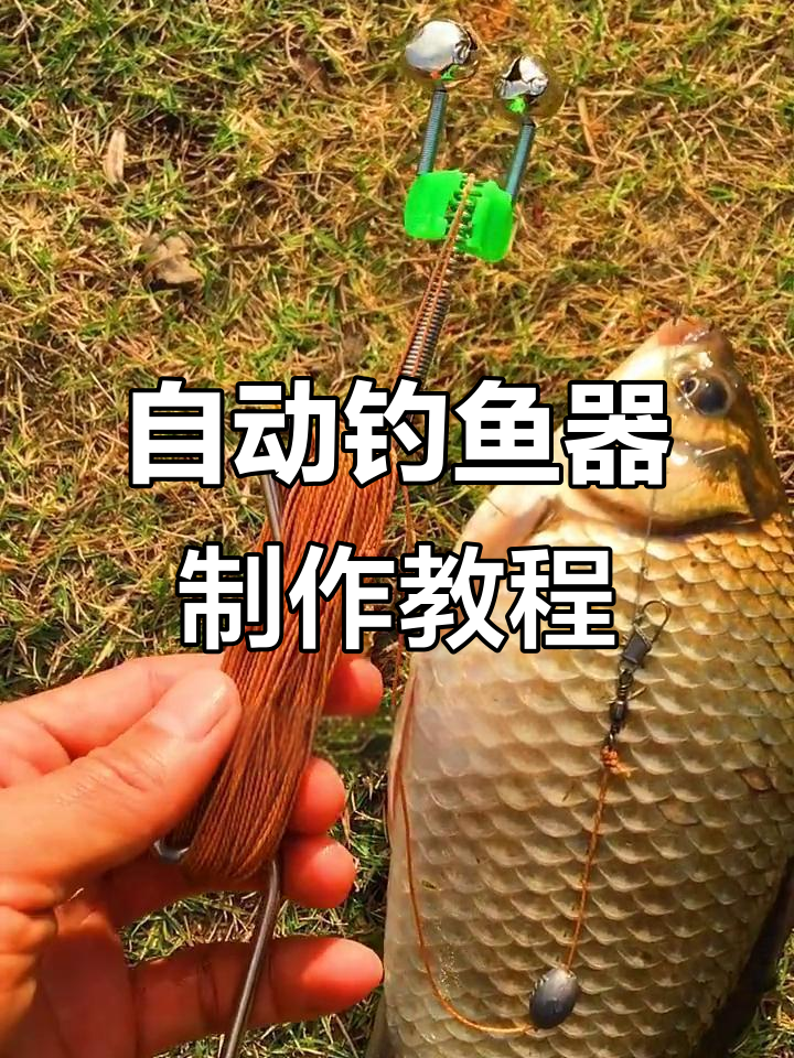 自制自动钓鱼神器,轻松钓大鱼!