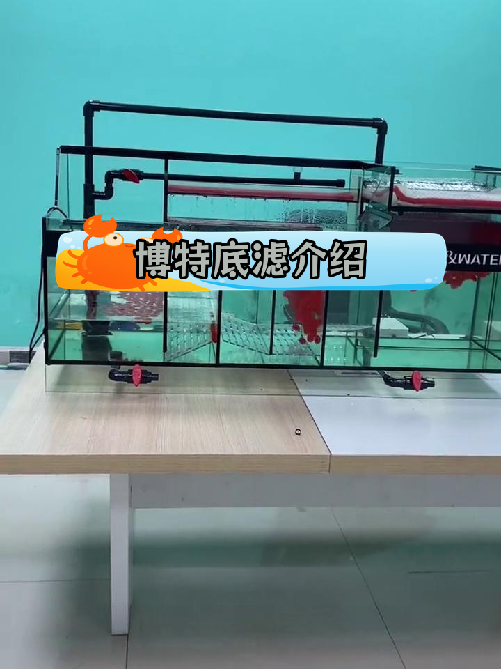 博特三代底滤系统全面解析