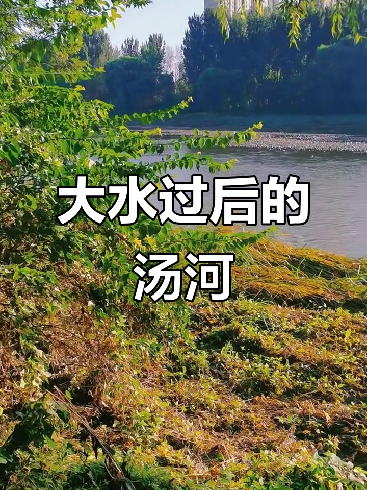 秦皇岛汤河大水后的景象,河水暴涨让人震撼