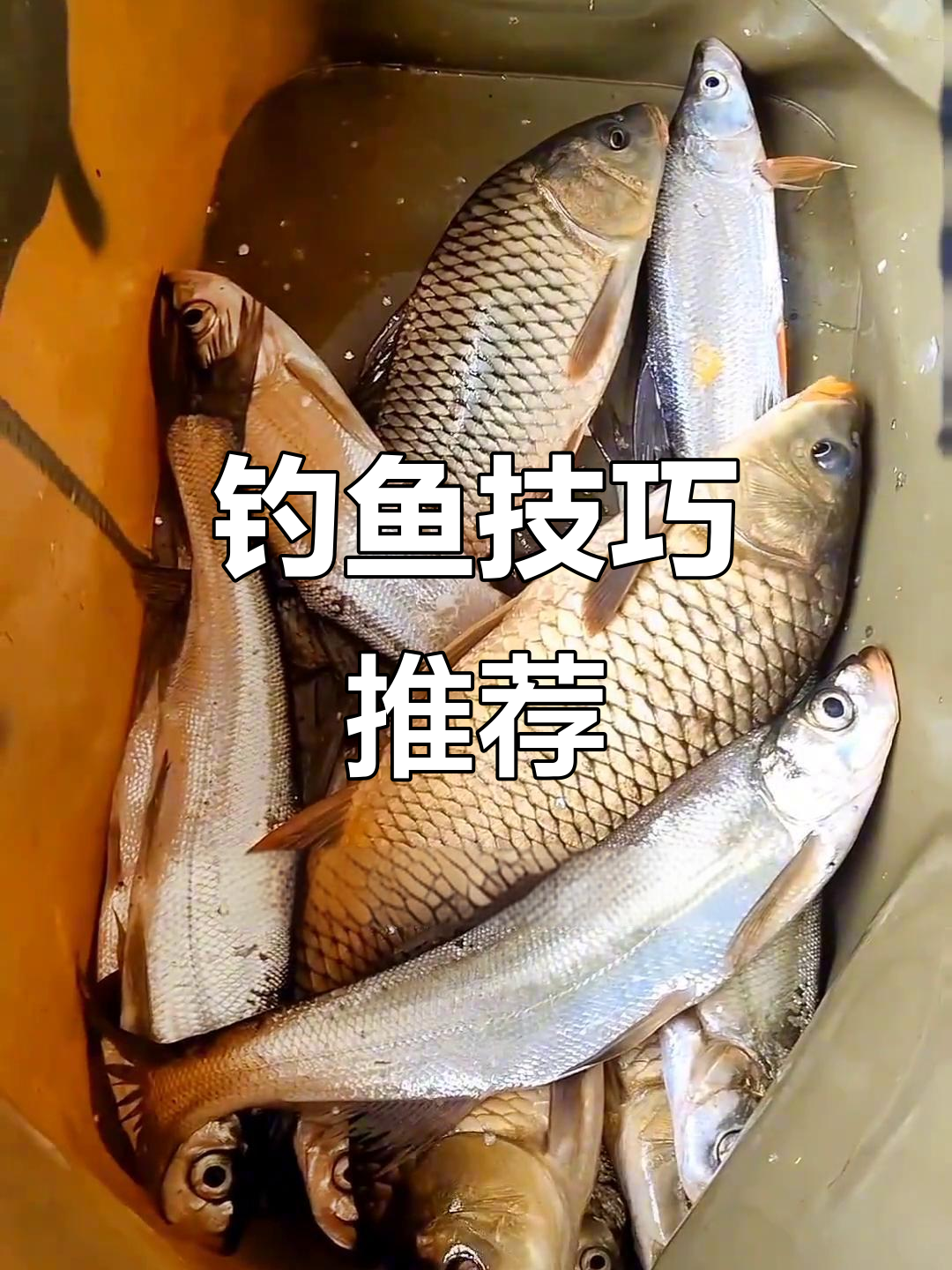 这个季节,手竿钓鱼不如远投或筏钓来得实惠