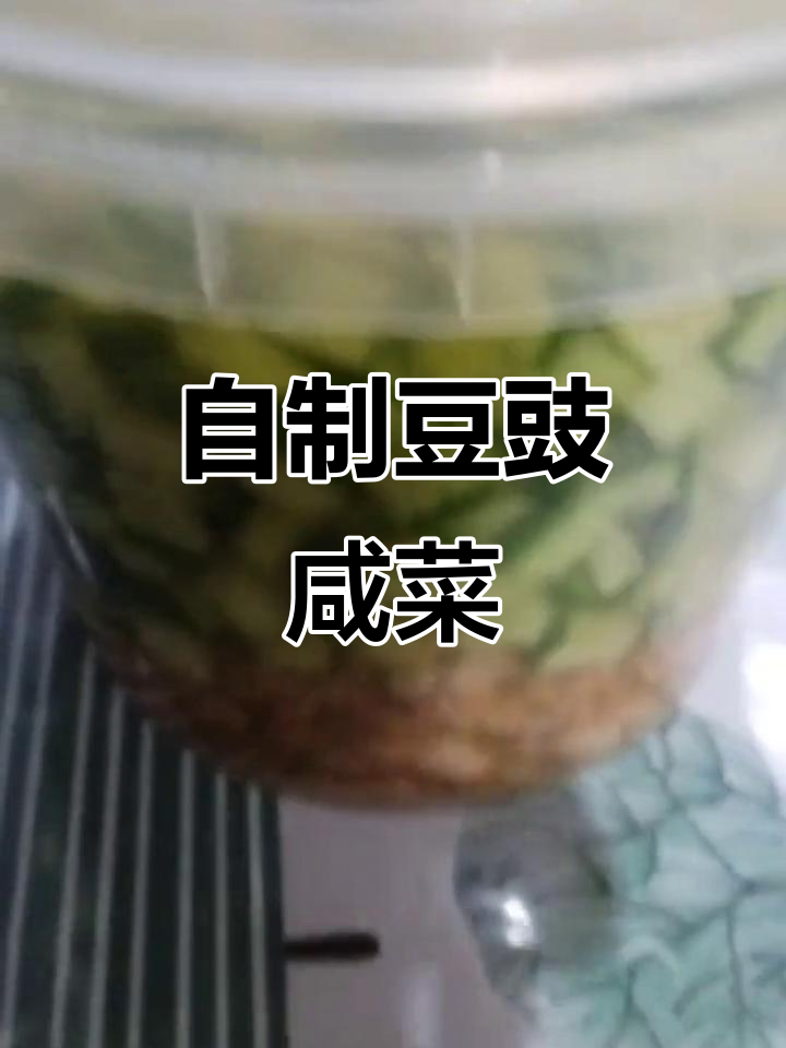 轻松做豆豉咸菜,纳豆与萝卜姜的完美搭配