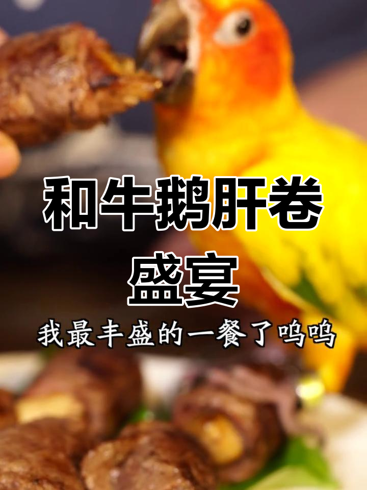 二哥再磕个头,和牛鹅肝卷大餐来袭!