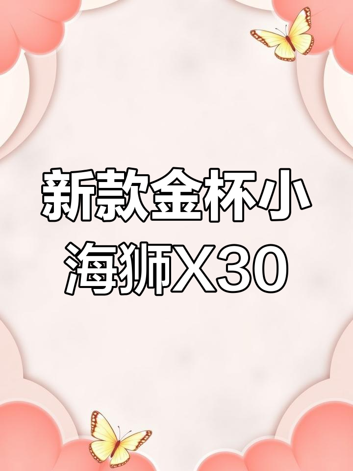 金杯小海狮X30顶配版,全新设计更舒适