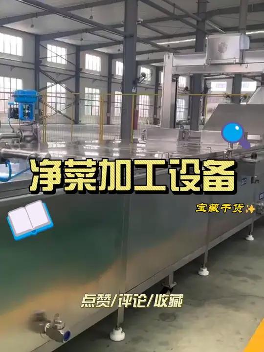 中央厨房净菜加工设备 食品厂生产流水线 预制菜清洗机