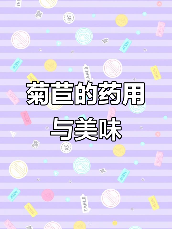 菊苣的欧洲传奇:从苦味到蔬菜王子的转变