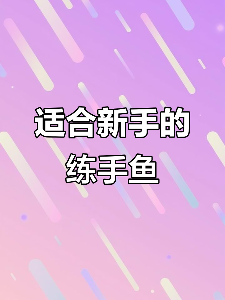 新手养鱼必看:三种最适合的入门品种