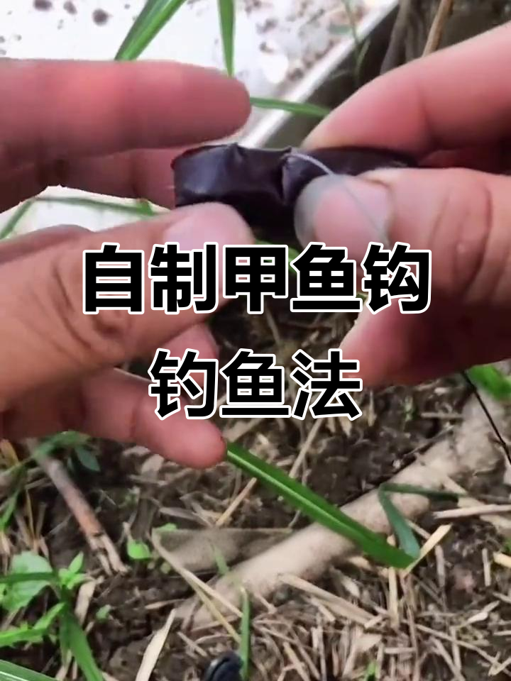 甲鱼钩套装教你轻松钓大甲,猪肝诱饵效果惊人