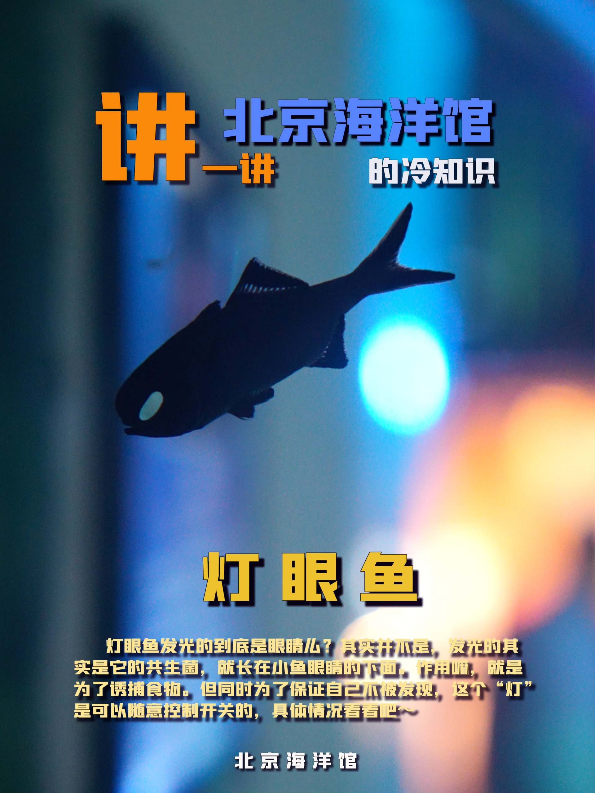 海洋馆的冷知识「七十」