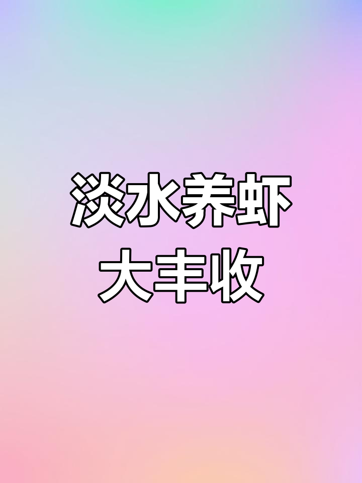 四川淡水虾养殖成功,产值高达60-70万!