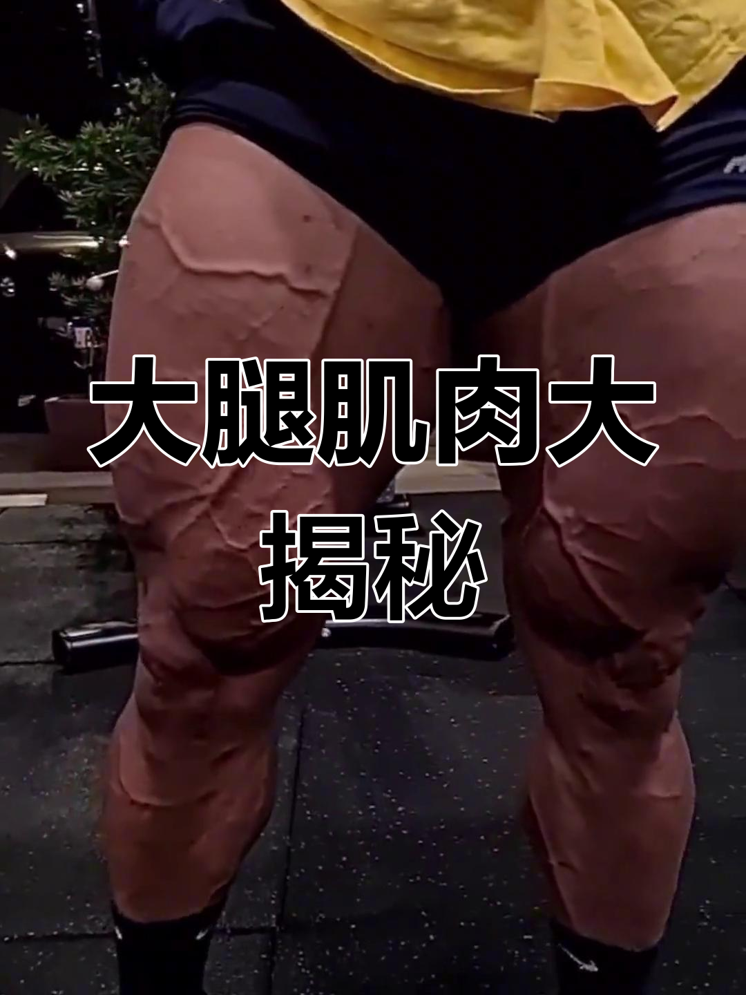 健美运动员大腿肌肉展示