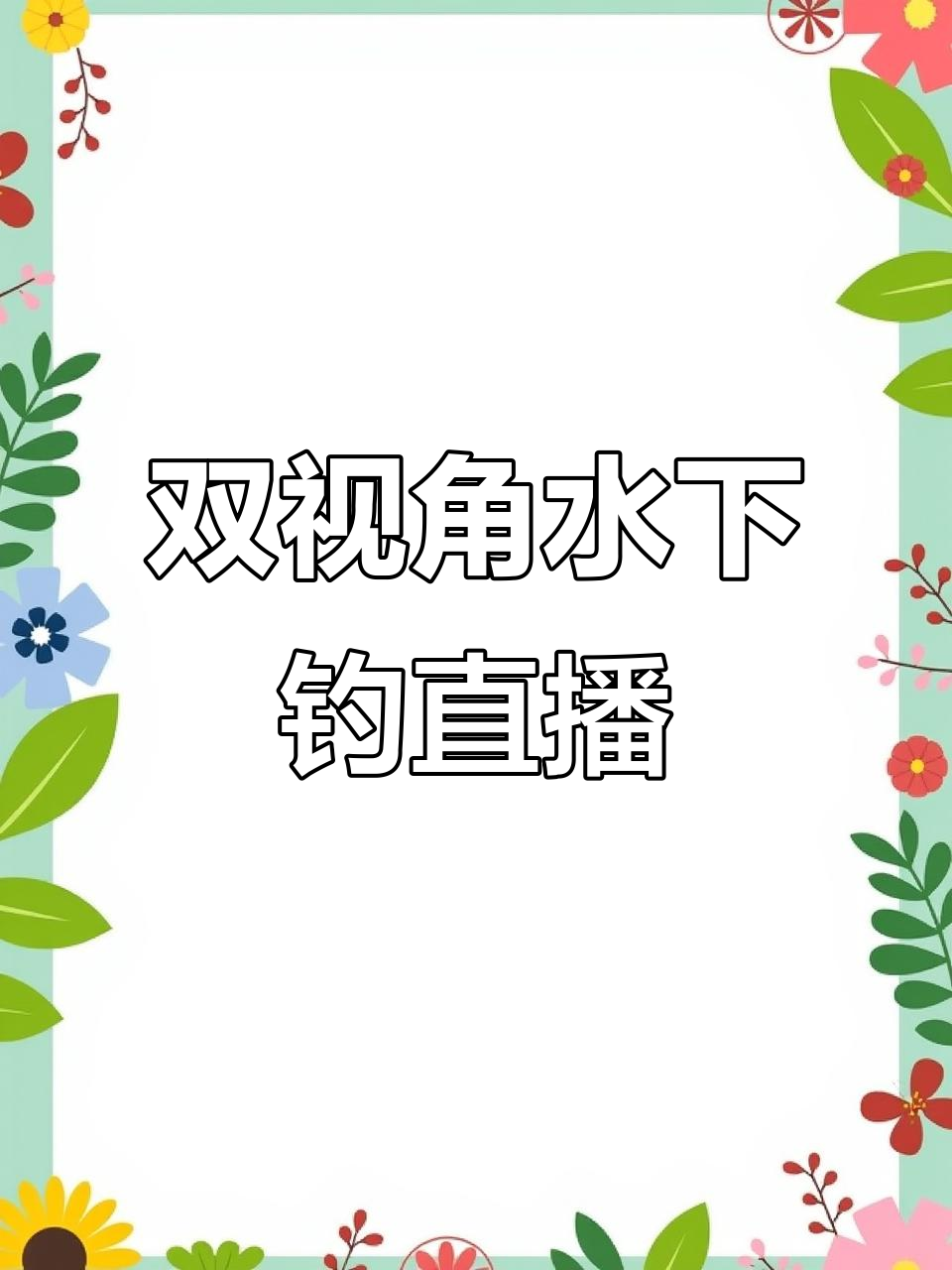 水下钓鱼直播设备安装全攻略,轻松搞定双视角画面