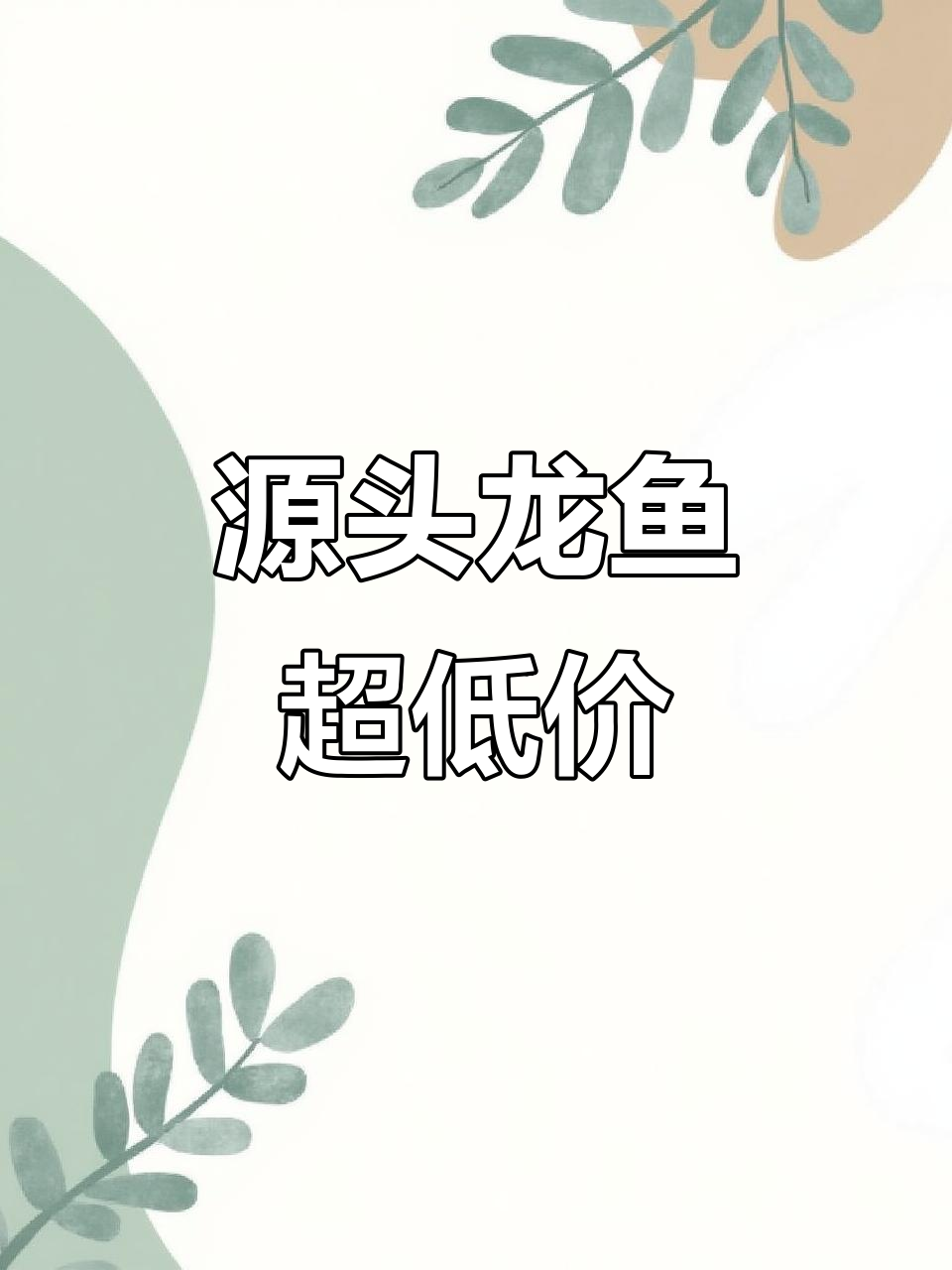 龙鱼价格大揭秘，顶级品种究竟有多便宜？