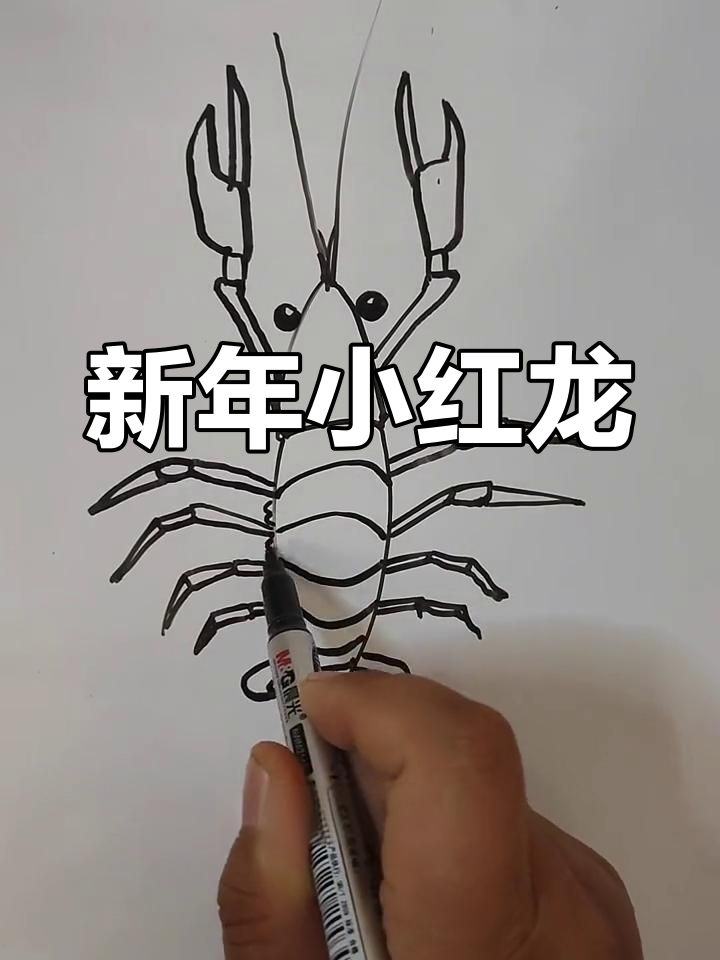 画只小龙虾,祝大家新春快乐,红运当头!