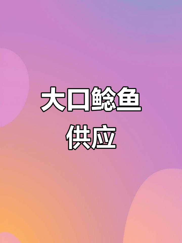 惠州鱼苗场,大口鲶鱼供应充足