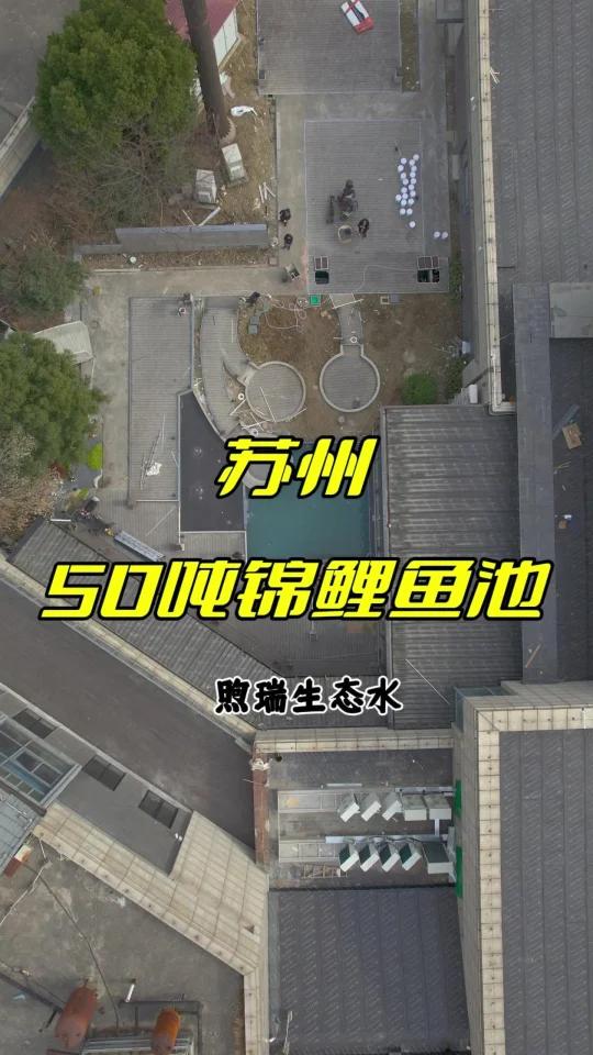 苏州50吨景观鱼池完工,记录建造过程!
