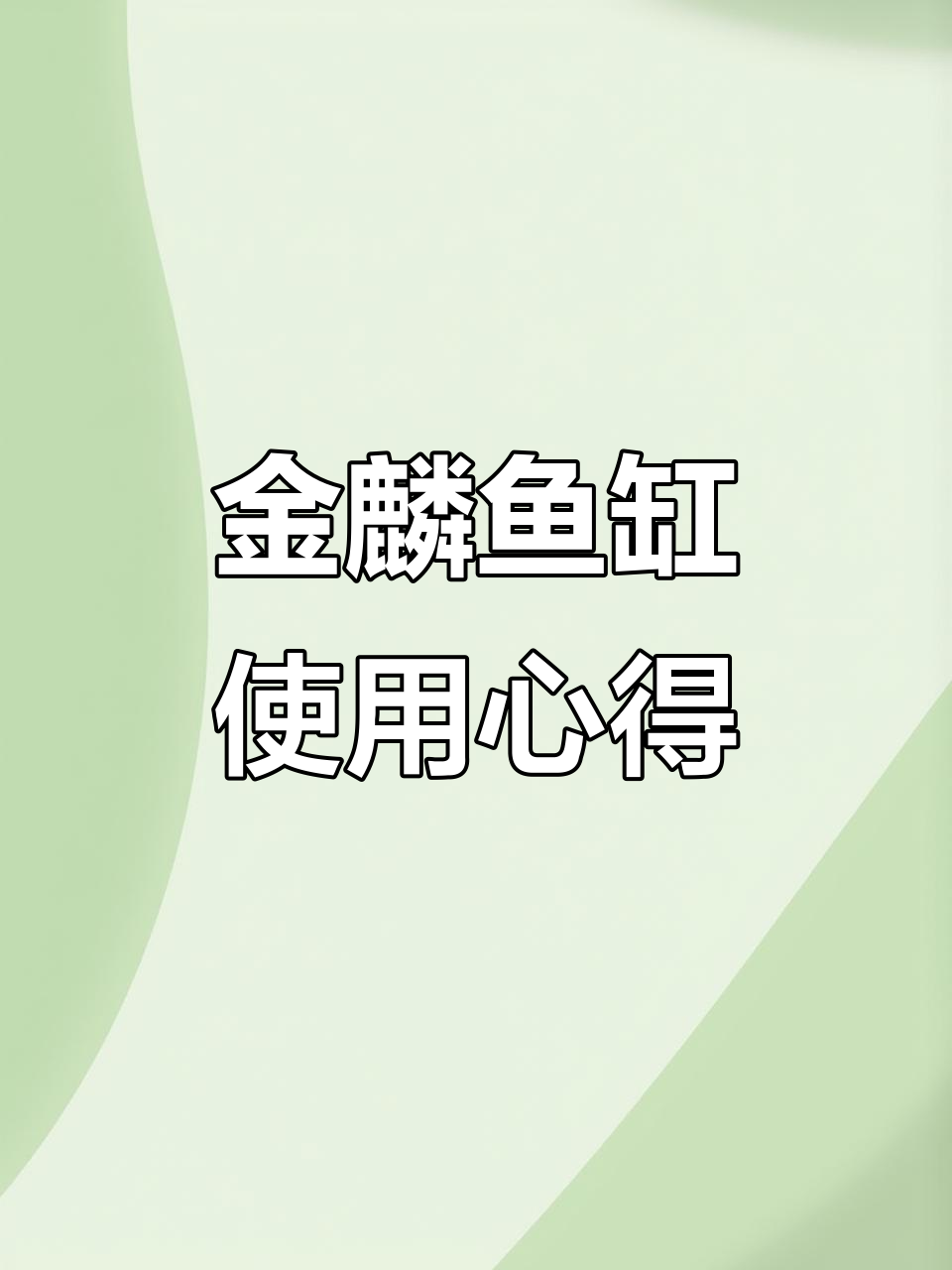 森森金鳞鱼缸使用体验:灯光与自动喂食器的那些事儿