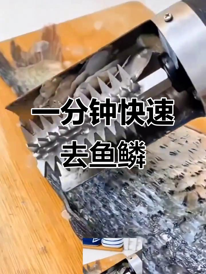 电动刮鱼鳞机,强劲动力一分钟去鳞干净