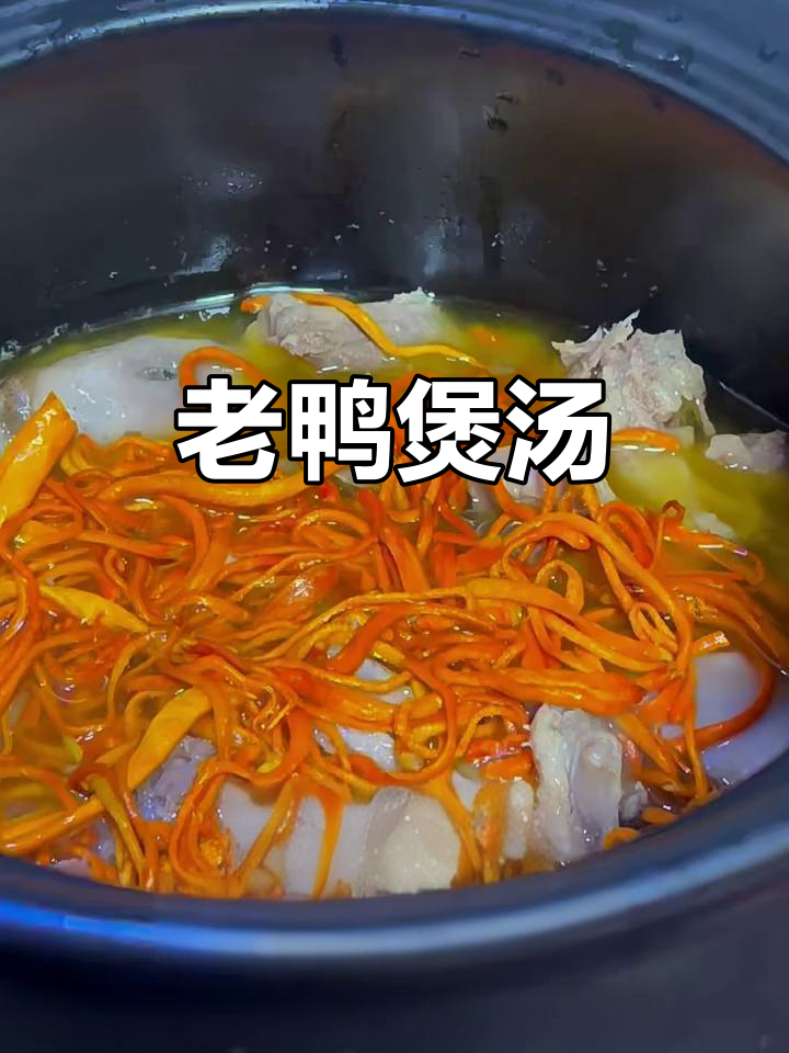 砂锅炖老鸭汤,虫草花与红枣的完美搭配