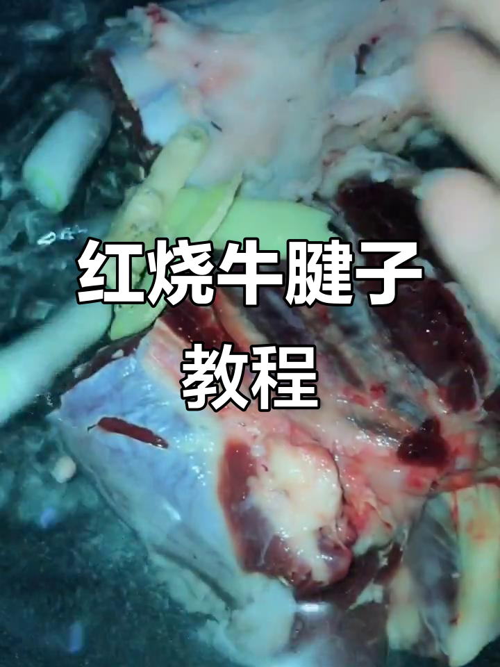 牛腱子红烧做法,高压锅炖出完美口感