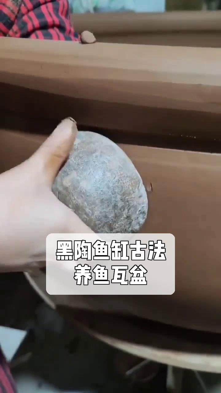 黑陶鱼缸古法,养鱼瓦盆
