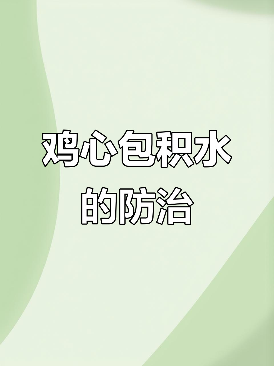 养殖管理不当,鸡心包积水成灾!如何应对安卡拉疫苗失效问题