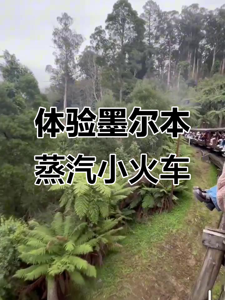 墨尔本百年蒸汽小火车,带你穿越时光之旅