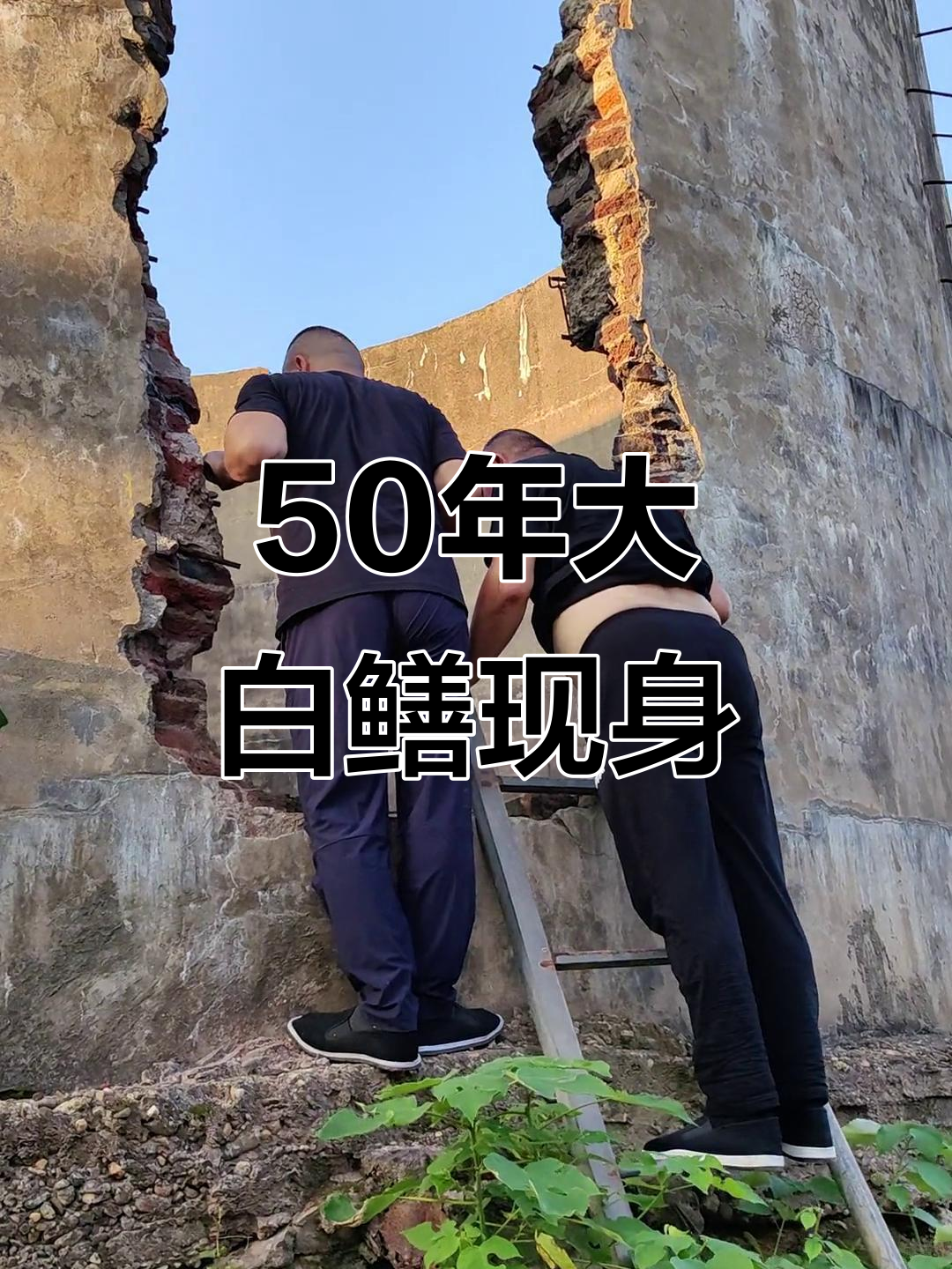 50年无人抓到的超大白鳝鱼,自然美景尽收眼底