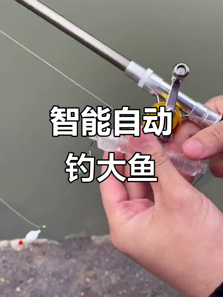 自动钓鱼神器,轻松捕捉大鱼!