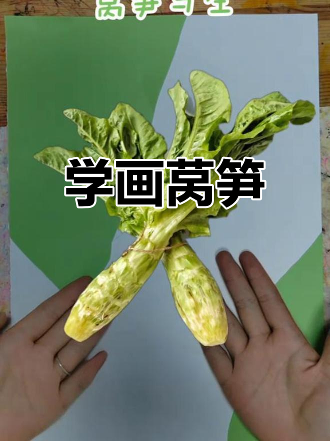 莴笋画法大揭秘,轻松学会蔬菜写生