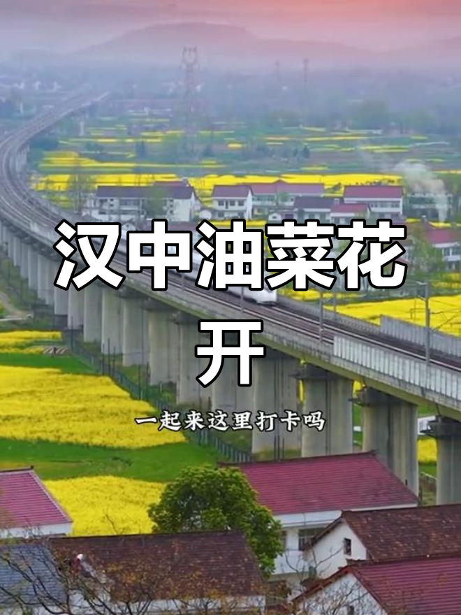 汉中油菜花海:春天的世外桃源