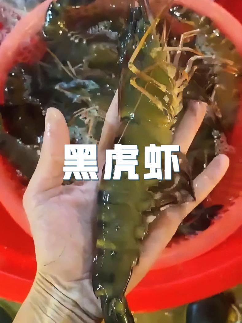 不仅好吃 营养价值还高 多给孩子做着吃 美食 海鲜 黑虎虾