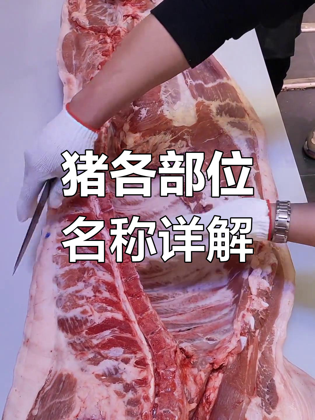猪肉分割全解析:从白条到五花肉的详细介绍