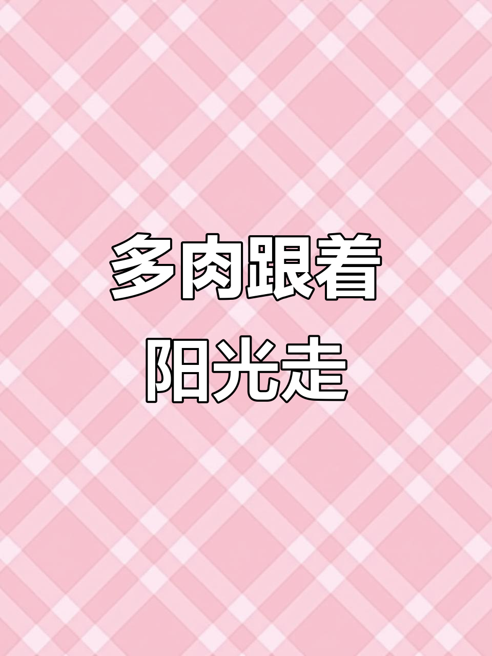 阳台多肉晒太阳,冰玉小盆栽焕新生