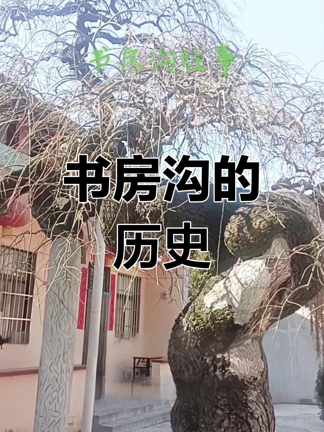 宝鸡书房沟的往事,张洁与李巨怀的记忆