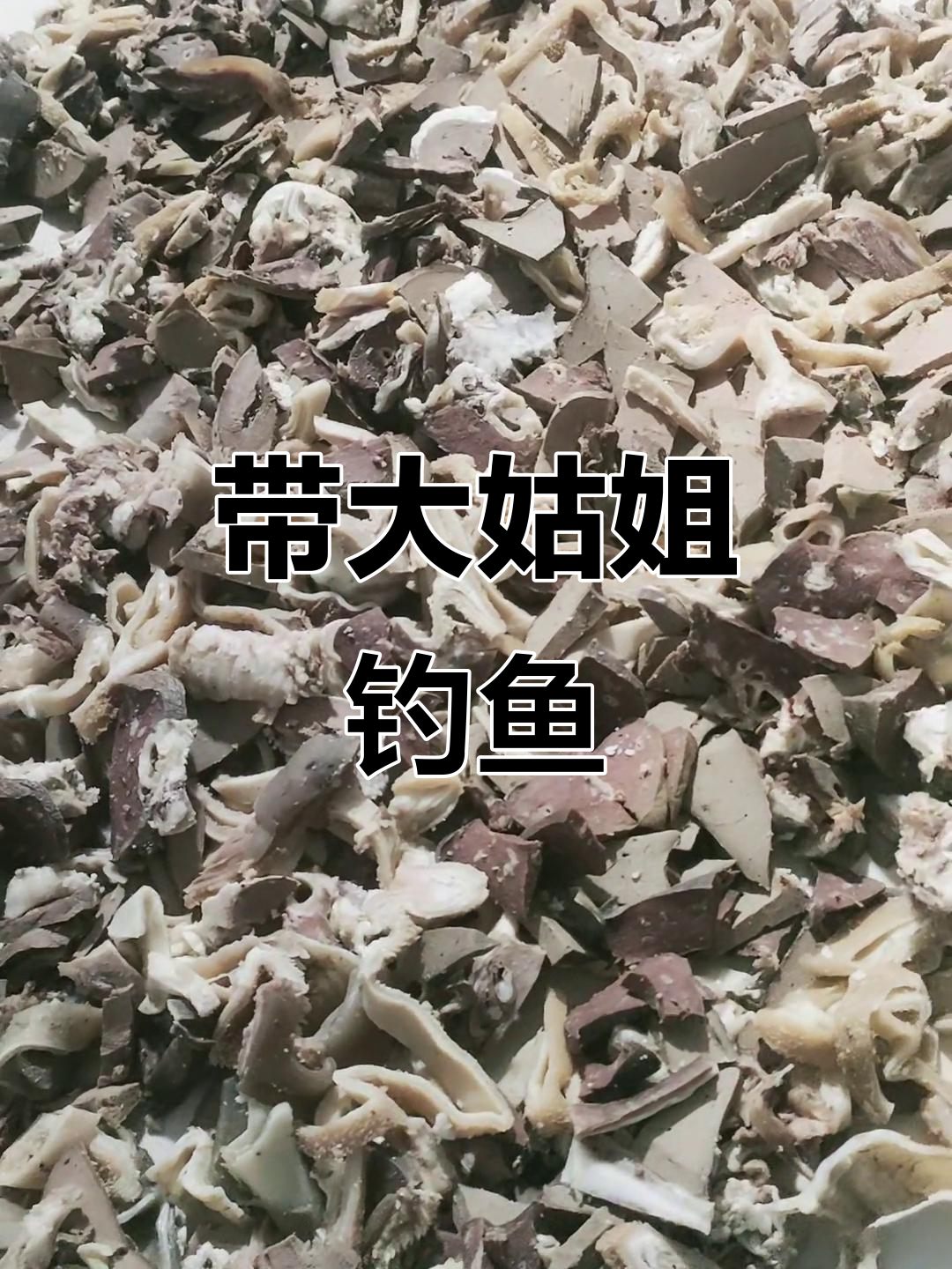 老爷带大姑姐和杨姥姥去钓鱼，大黄蜂也加入了这场冒险