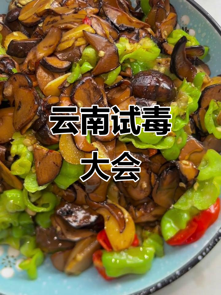 云南菌类大比拼,见手青鲜美无敌!