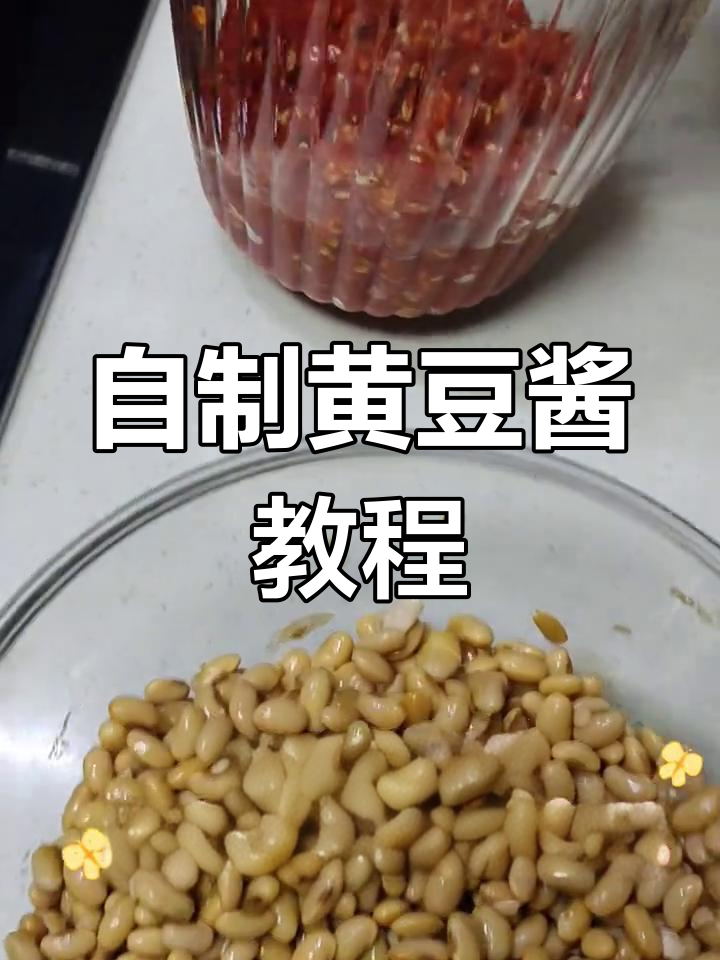 一分钟学会自制黄豆酱,搭配米饭更美味