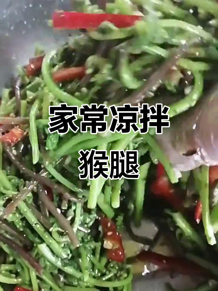 简单家常凉拌山野菜,营养又美味