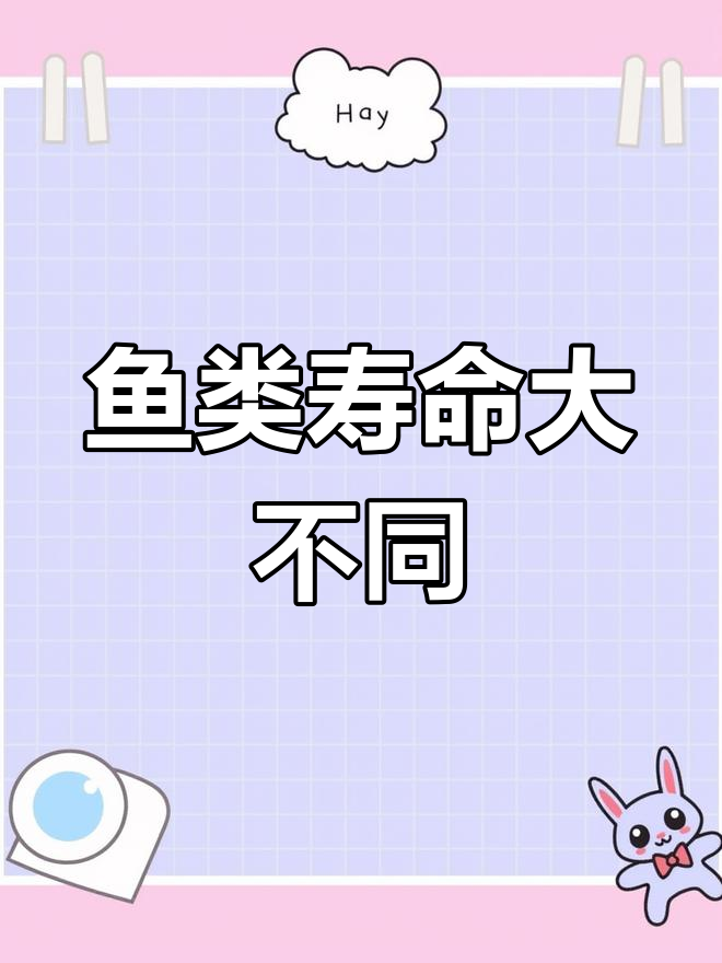 常见观赏鱼寿命揭秘